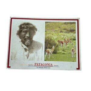 Vintage Postcard Patagonia Argentina Non Topical Posted 2022 u